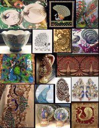peacock collage vertical.jpg